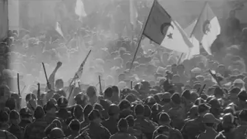 Backdrop to the movie "The Battle of Algiers" #752734