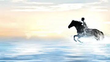 Backdrop to the movie "The Black Stallion" #1041153