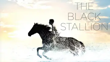 Backdrop to the movie "The Black Stallion" #1041154