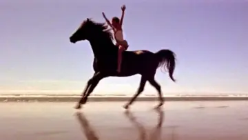 Backdrop to the movie "The Black Stallion" #1041155