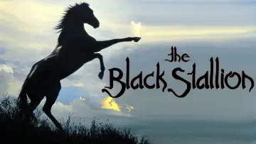 Backdrop to the movie "The Black Stallion" #1041156