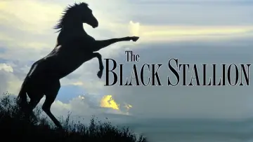 Backdrop to the movie "The Black Stallion" #1041157
