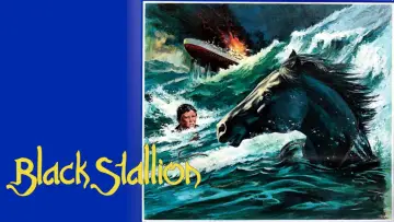 Backdrop to the movie "The Black Stallion" #1041160