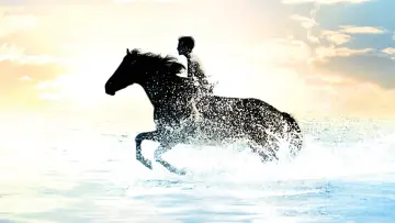 Backdrop to the movie "The Black Stallion" #1041161