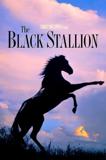 Poster to the movie "The Black Stallion" #1041167