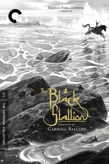Poster to the movie "The Black Stallion" #1041169