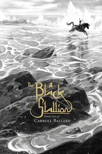 Poster to the movie "The Black Stallion" #1041170