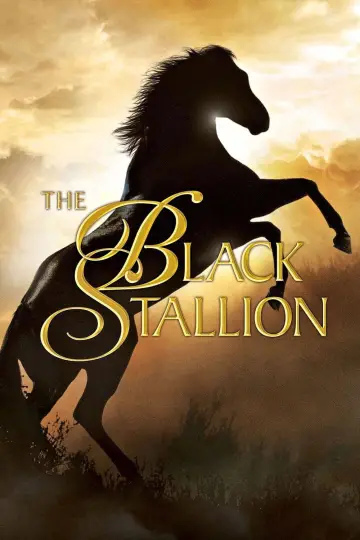Poster to the movie "The Black Stallion" #1041171