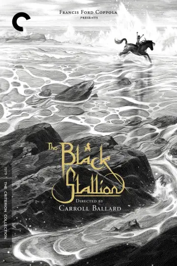 Poster to the movie "The Black Stallion" #1041173