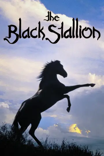 Poster to the movie "The Black Stallion" #1041176