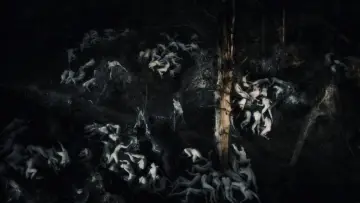 Backdrop to the movie "Antichrist" #723329