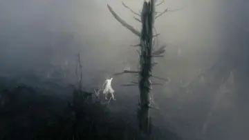 Backdrop to the movie "Antichrist" #723349