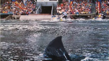 Backdrop to the movie "Jaws 3-D" #1532399