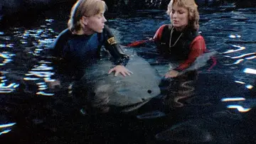 Backdrop to the movie "Jaws 3-D" #699255