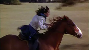 Backdrop to the movie "National Velvet" #1120140
