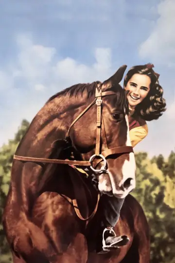 Poster to the movie "National Velvet" #1120161