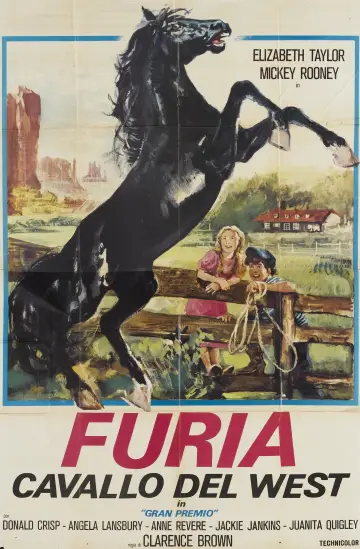 Poster to the movie "National Velvet" #486245