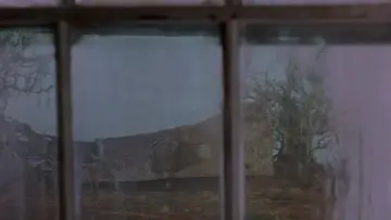 Backdrop to the movie "Candyman: Farewell to the Flesh" #1020761