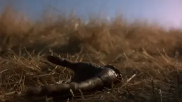 Backdrop to the movie "Candyman: Farewell to the Flesh" #1020771