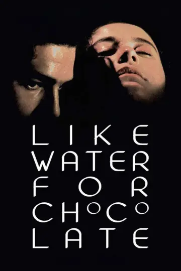 Poster to the movie "Like Water for Chocolate" #988865