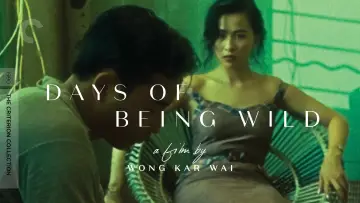 Backdrop to the movie "Days of Being Wild" #787925