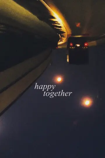 Poster to the movie "Happy Together" #867452