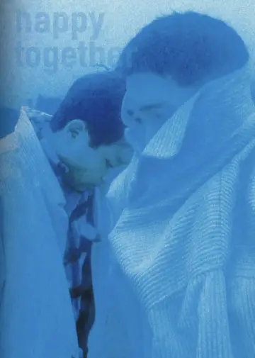 Poster to the movie "Happy Together" #867472