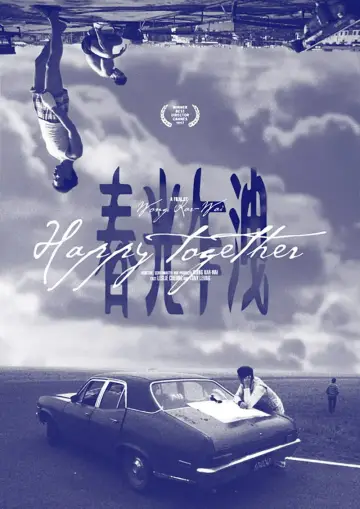 Poster to the movie "Happy Together" #920976