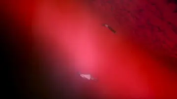 Backdrop to the movie "Neon Genesis Evangelion: The End of Evangelion" #648746