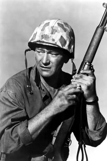 Poster to the movie "Sands of Iwo Jima" #428264