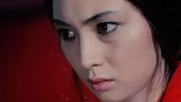 Backdrop to the movie "Lady Snowblood 2: Love Song of Vengeance" #451506
