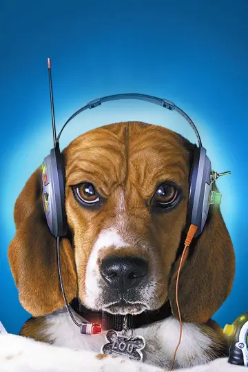 Poster to the movie "Cats & Dogs" #858399