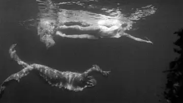 Backdrop to the movie "Creature from the Black Lagoon" #870988