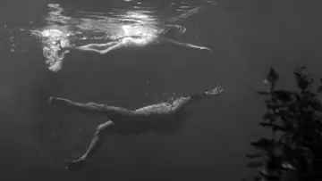 Backdrop to the movie "Creature from the Black Lagoon" #870989