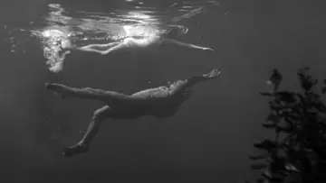 Backdrop to the movie "Creature from the Black Lagoon" #870990