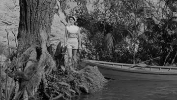 Backdrop to the movie "Creature from the Black Lagoon" #870993