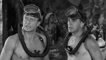 Backdrop to the movie "Creature from the Black Lagoon" #870998
