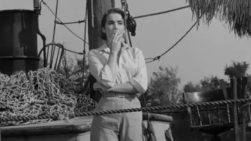Backdrop to the movie "Creature from the Black Lagoon" #871000