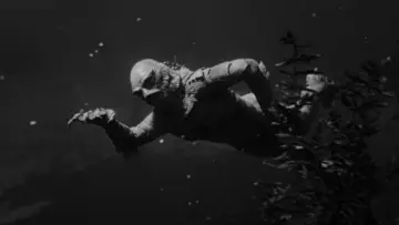 Backdrop to the movie "Creature from the Black Lagoon" #871006