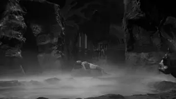 Backdrop to the movie "Creature from the Black Lagoon" #871008