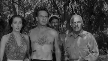 Backdrop to the movie "Creature from the Black Lagoon" #871013