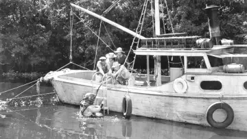 Backdrop to the movie "Creature from the Black Lagoon" #871022
