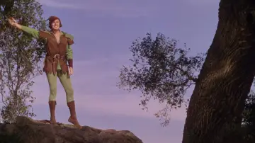 Backdrop to the movie "The Adventures of Robin Hood" #878701
