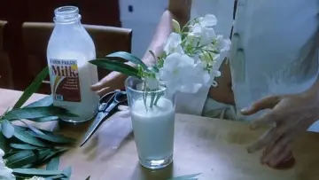 Backdrop to the movie "White Oleander" #992262