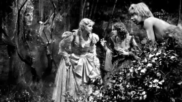 Backdrop to the movie "A Midsummer Night