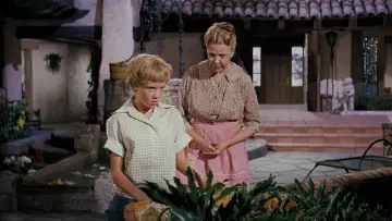Backdrop to the movie "The Parent Trap" #860603