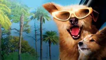 Backdrop to the movie "Dr. Dolittle: Million Dollar Mutts" #1064589