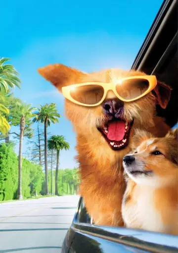 Poster to the movie "Dr. Dolittle: Million Dollar Mutts" #1064594