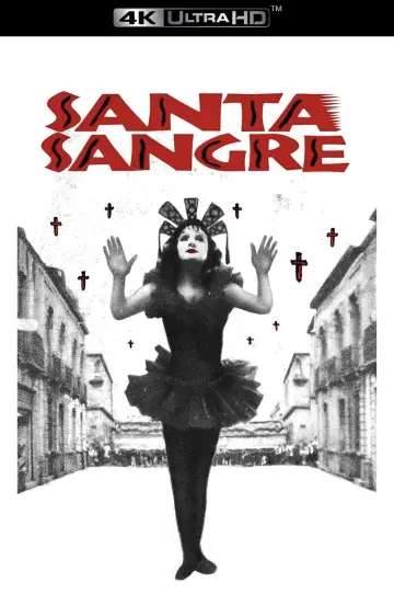 Poster to the movie "Santa Sangre" #991233
