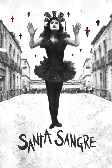 Poster to the movie "Santa Sangre" #991240